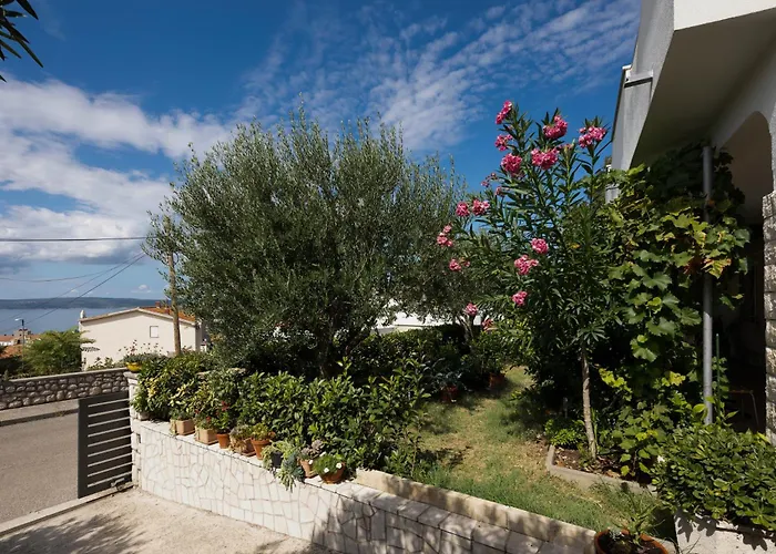 Devcic ノヴィ・ヴィノドロスキー